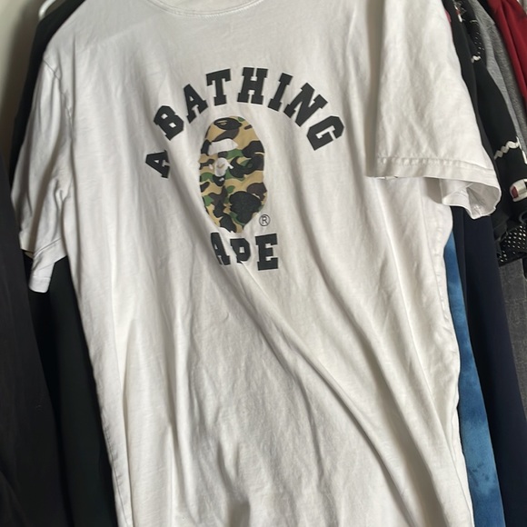 Meet your Posher, Ethan - Picture 9 of 12